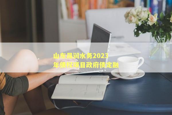 山东晟润水务2023年债权项目政府债定融