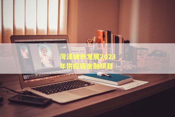 菏泽城市发展2023年供应链金融项目