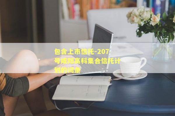 包含上市信托-207号咸阳高科集合信托计划的词条