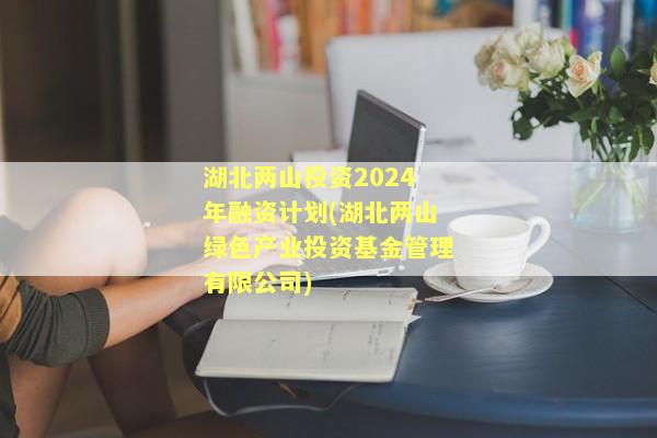 湖北两山投资2024年融资计划(湖北两山绿色产业投资基金管理有限公司)