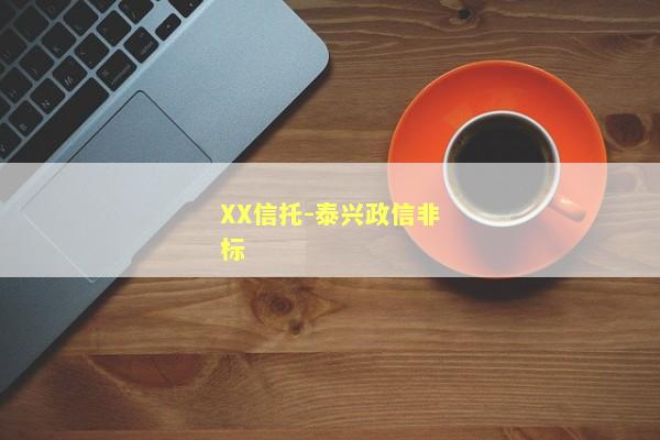 XX信托-泰兴政信非标