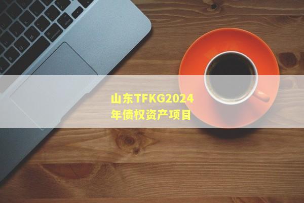 山东TFKG2024年债权资产项目