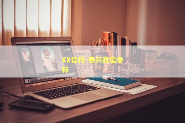 XX信托-泰兴政信非标