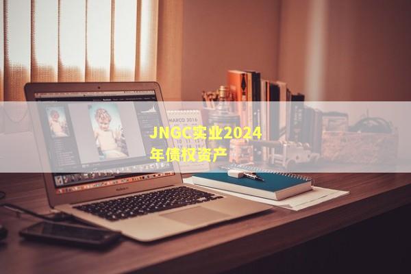 JNGC实业2024年债权资产