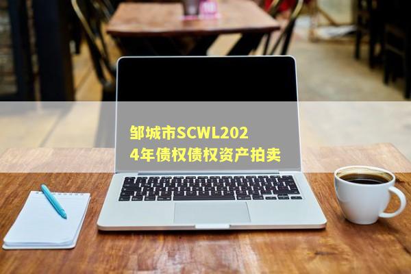 邹城市SCWL2024年债权债权资产拍卖